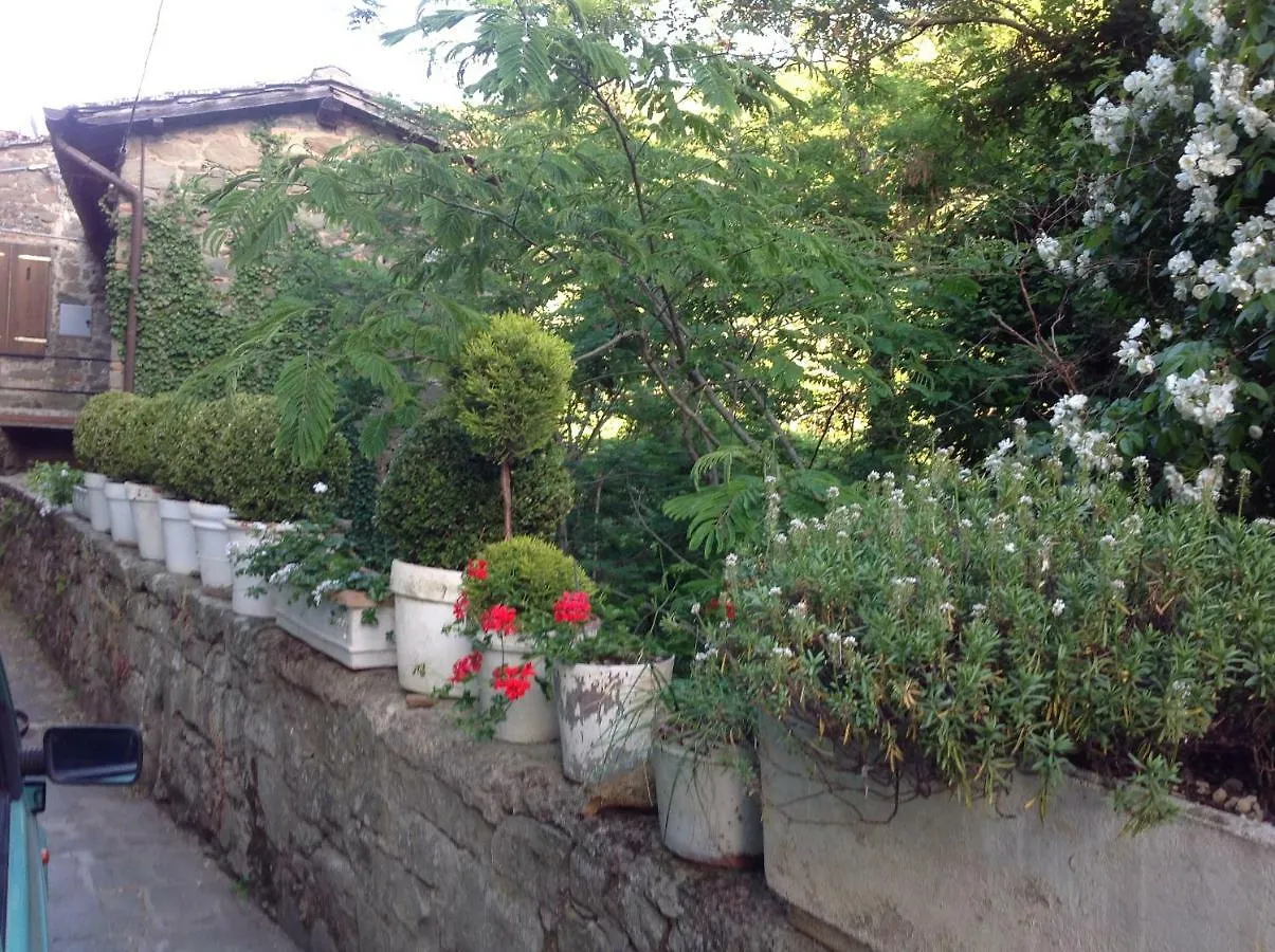 Il Rosmarino Apartment Pelago Italy