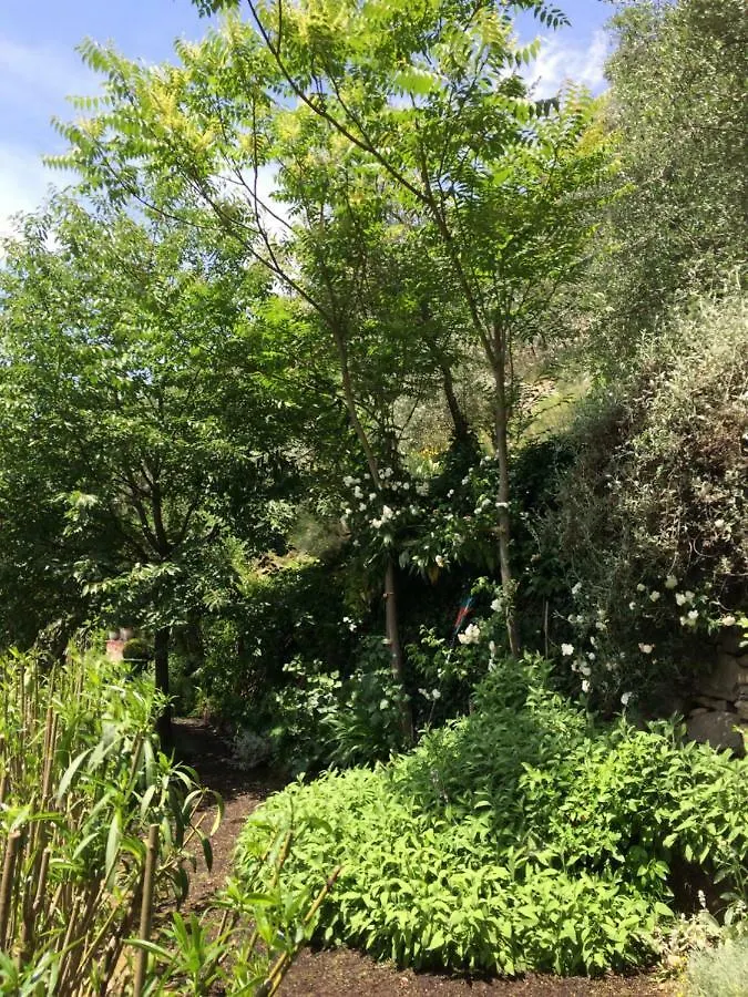 Il Rosmarino Apartment Pelago Italy